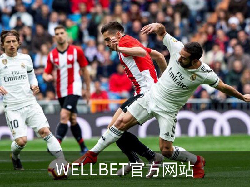 关于WELLBET官方网站